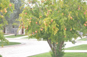  Hotel Relais Antica Masseria  Тури